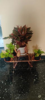 Shantanu K. review photo