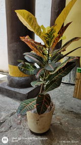 Richa T. review photo