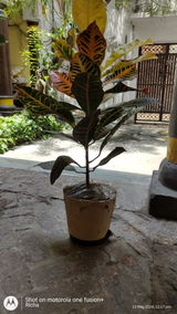 Richa T. review photo