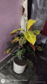 Richa T. review photo