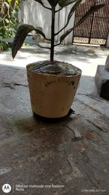 Richa T. review photo