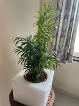 Mayur C. review photo