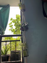 Prachiti S. review photo