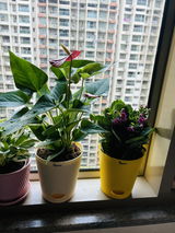 Samaira S. review photo