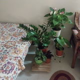 Sirisha D. review photo