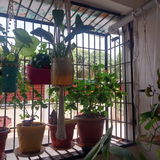 Sirisha D. review photo