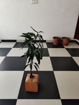 Harpreet S. review photo