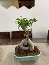 Vinay J. review photo