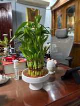 VELUCHAMY R. review photo