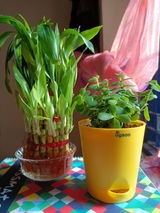 Sourav K. review photo