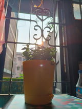 Sourav K. review photo
