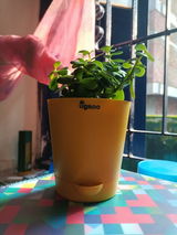 Sourav K. review photo