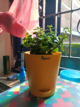 Sourav K. review photo