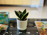 Edlan F. review photo