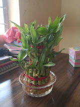 Tushar V. review photo