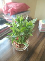 Tushar V. review photo