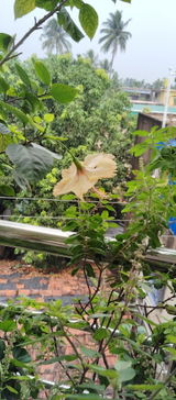 rituparna G. review photo