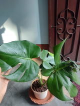 Bishnupriya R. review photo