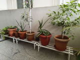 Manas Y. review photo
