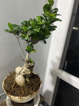 Hardik H. review photo