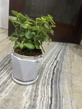 Ruchi G. review photo