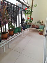Kushal C. review photo
