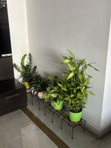 Usha R.K. review photo