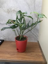 R.B.PRADEEP review photo