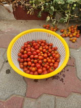 Gurnoor S. review photo
