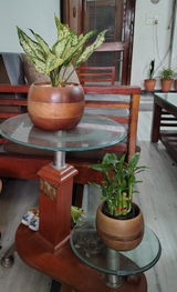 Subhash G. review photo