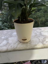 Rajat S. review photo