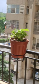 Shikha D. review photo