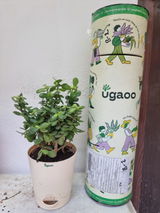 Sandeep G. review photo