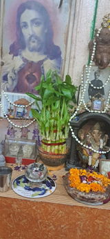 pranab k.d. review photo