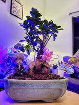 Asmita G. review photo