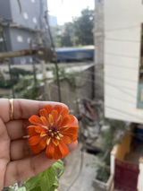 Puja K. review photo