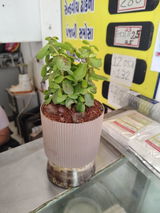 Jayesh M. review photo