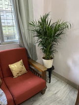 Rajendra S. review photo