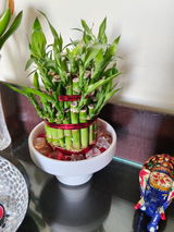 Nishakapur review photo