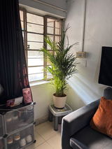 Mukesh M. review photo