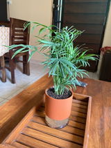 Parnab N. review photo