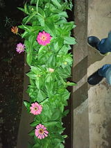 Abhijeet D. review photo