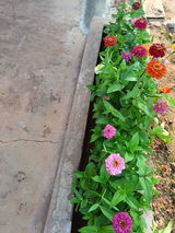 Abhijeet D. review photo