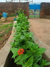 Abhijeet D. review photo