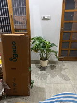 anubhav c. review photo
