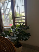 anubhav c. review photo