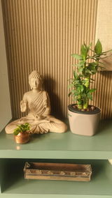 Mallika i. review photo