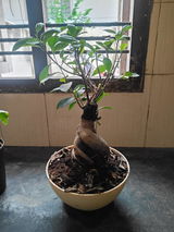 Pranav S. review photo