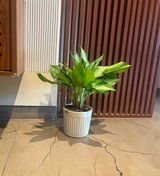 hemanth k. review photo