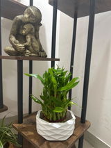 Prajakta J. review photo
